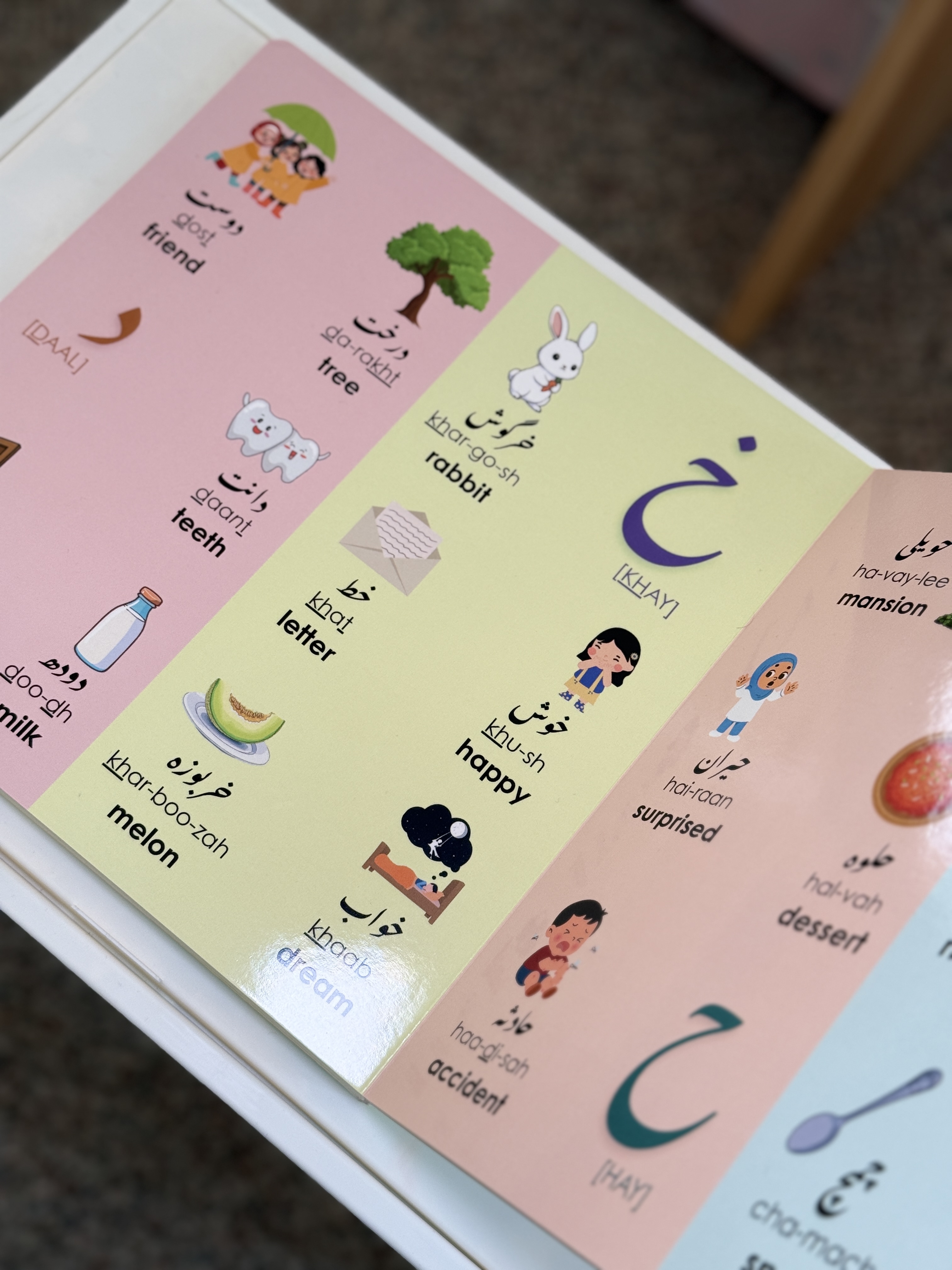 Both AaoSeekheinUrdu board books standing together